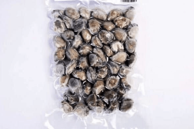 Clams