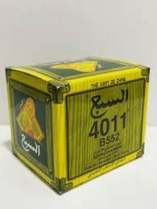 THE LION 4011


